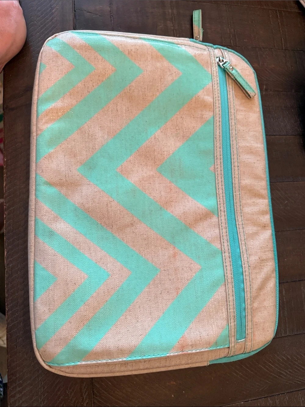 Turquoise Chevron Zip Pouch by